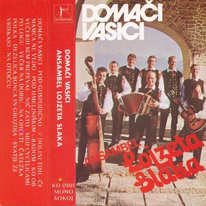 Domači vasici